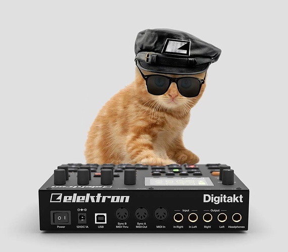 b00aaf0835c5fe90a6a2dd7d2d97cc10354ff2e1_1_570x499