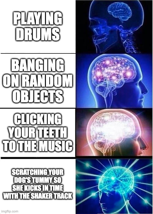 dogDrums