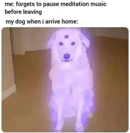 1768871001825423056333829140044