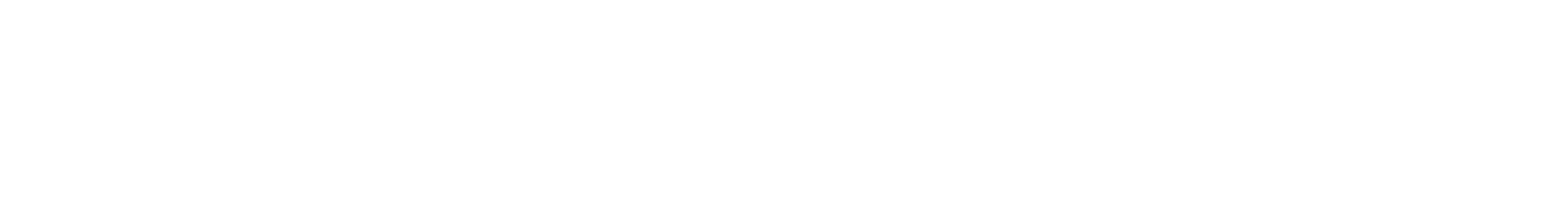 Amnesty Community