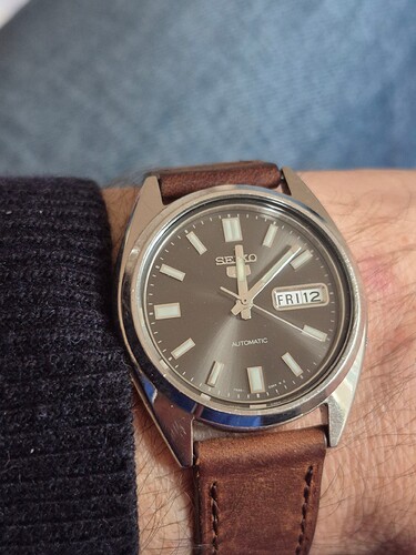 17673521130725033574079756165210