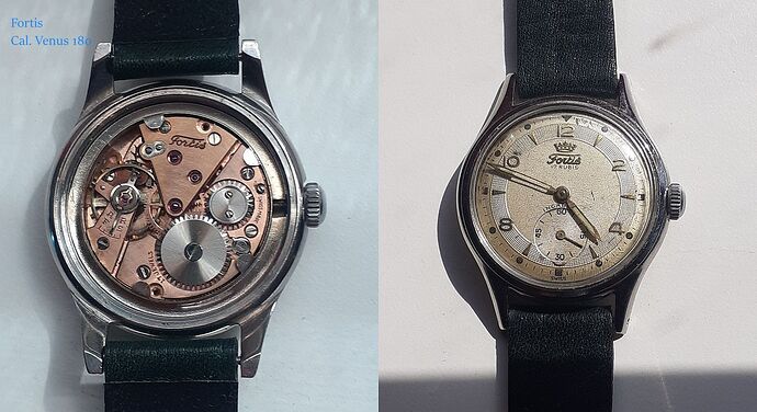 Fortis cal. venus 180