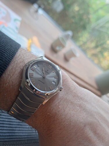 17671743477183084158240777612135