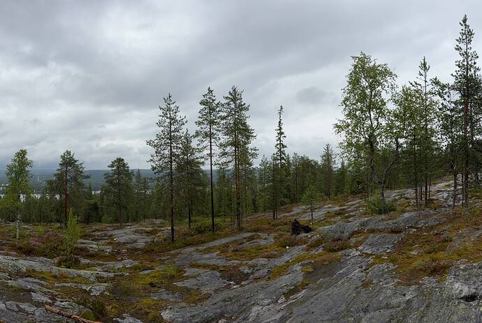IMG-20260726-WA0018