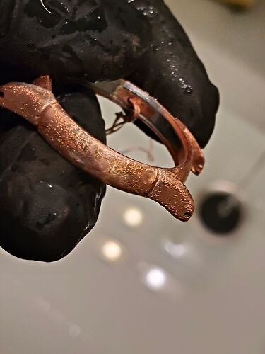 IMG20260202205836   2