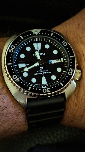 17608236585713994872880188513008