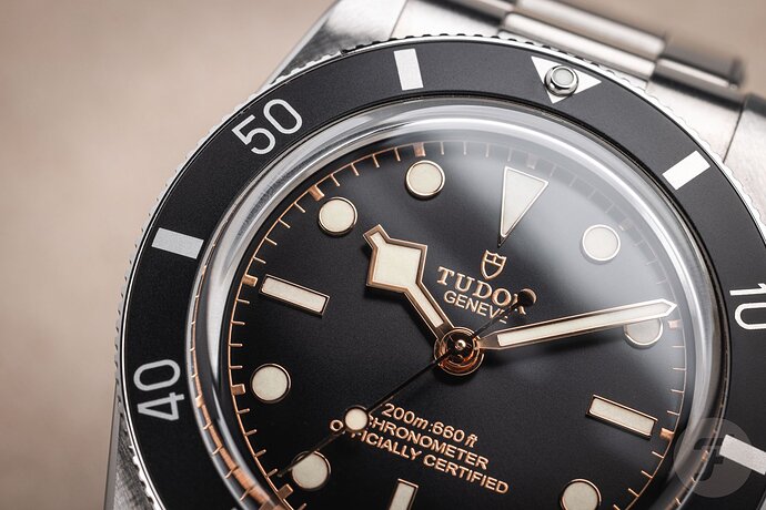 Tudor-Black-Bay-54-17