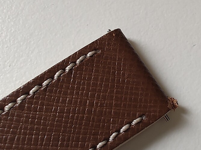 IMG_20260219_131450619_MP~2