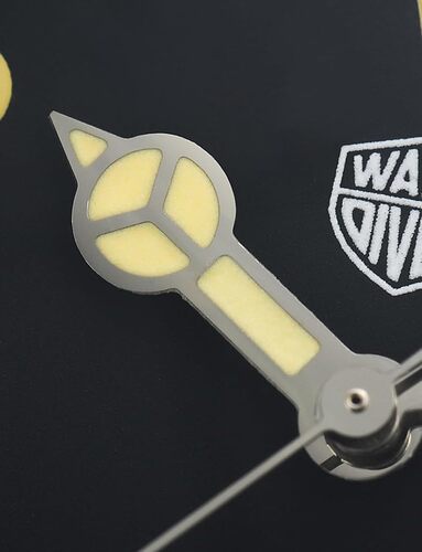 61qudmMT-cL.AC_UY1000