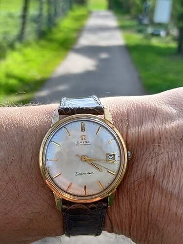 17754850274628896029378314393490