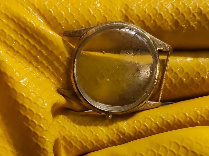 IMG20260204191950   4