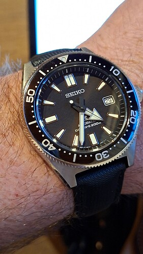 17670223859117466294018282675309