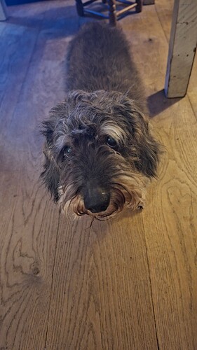 17740356902557952920285683362072