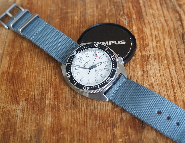 Seiko Slim Turtle SPB313 (16)