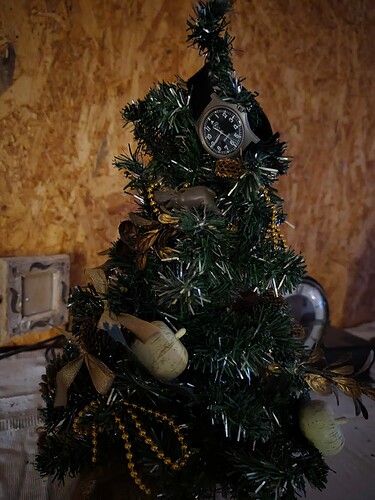 IMG_20251214_084428261