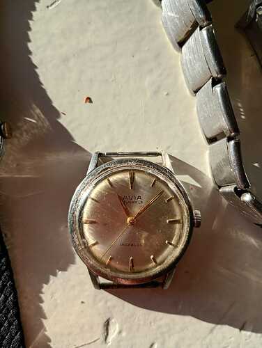 WhatsApp Image 2025-12-31 at 11.07.31