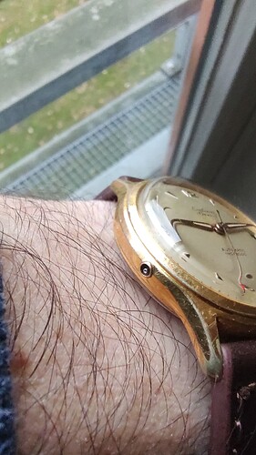 17656999980381326886156380986874