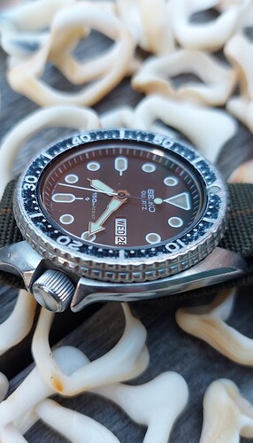 Screenshot_20251126_220208_Gallery