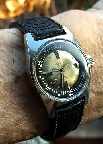 IMG_20260212_093301576~2