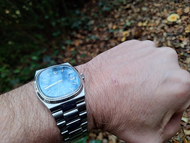 17625878005123037165270675818029