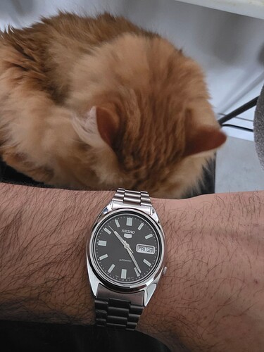 17691602496931010793315713831188