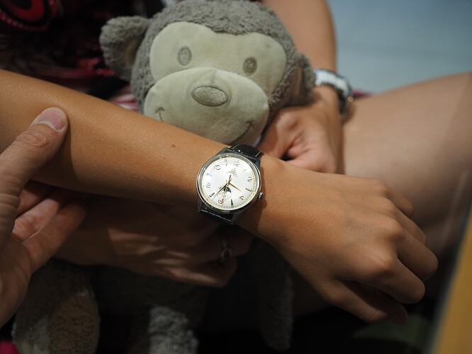 Red Army Watches (30)