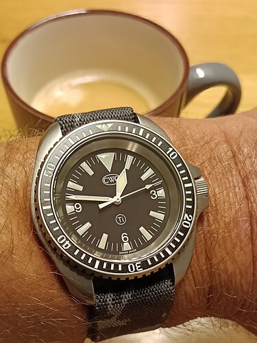 17579917066006565992367186094351