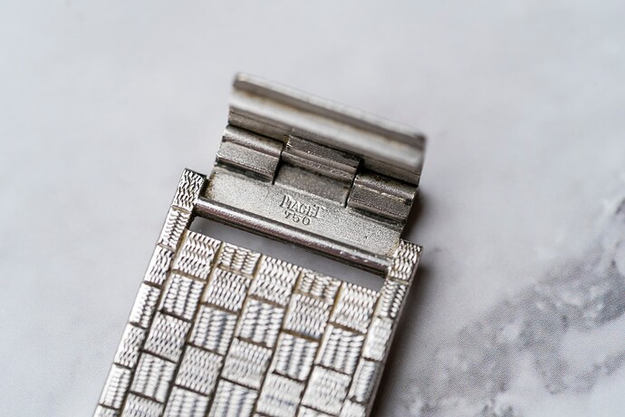 20241114_Piaget-01205