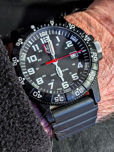 PXL_20251211_170115102.MACRO_FOCUS~2