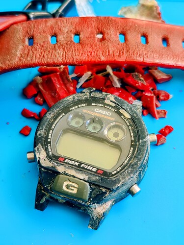 IMG_20251227_120254~2