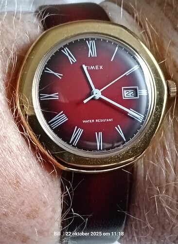 trashed-1763716769-IMG_20251022_111903