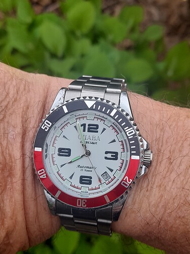 17767509971416122794473751163373