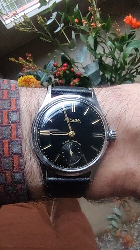 17644029971674989643854846185929