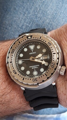 17642417583459038645995896199651