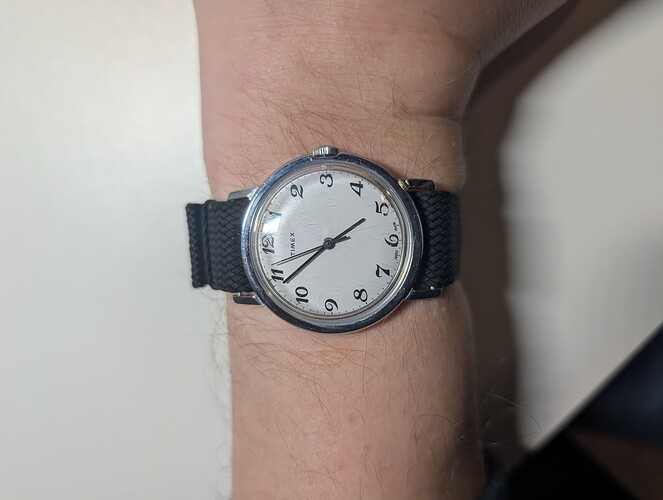 PXL_20260219_100654777