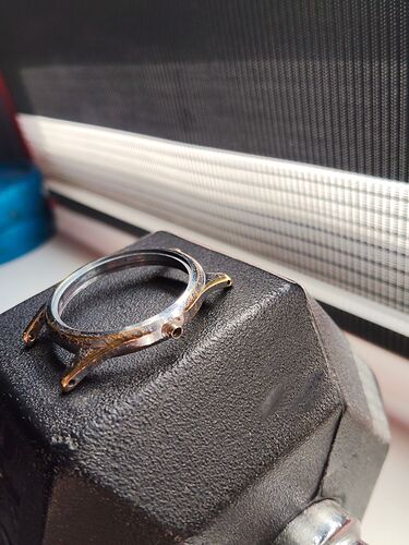 IMG20260312131533   2