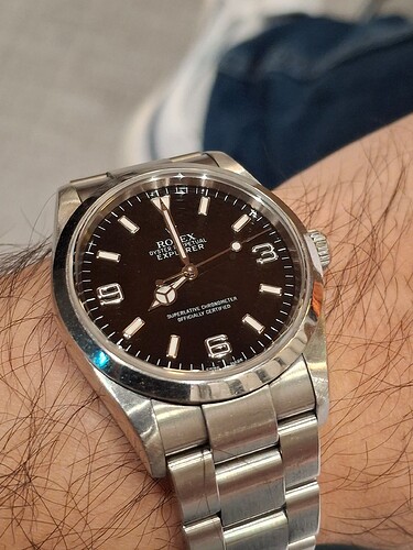 17604648513271948236063865698361