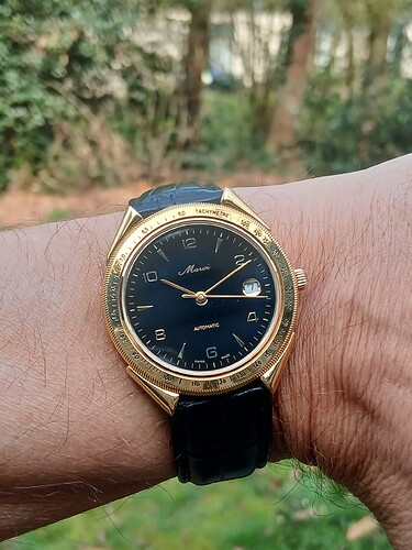 17728745355807276765906802221319