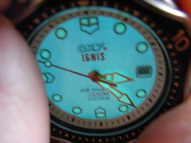 WhatsApp Image 2026-02-20 at 12.46.06