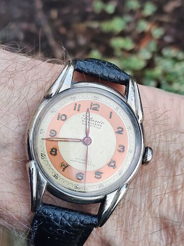 IMG20260218114344     1