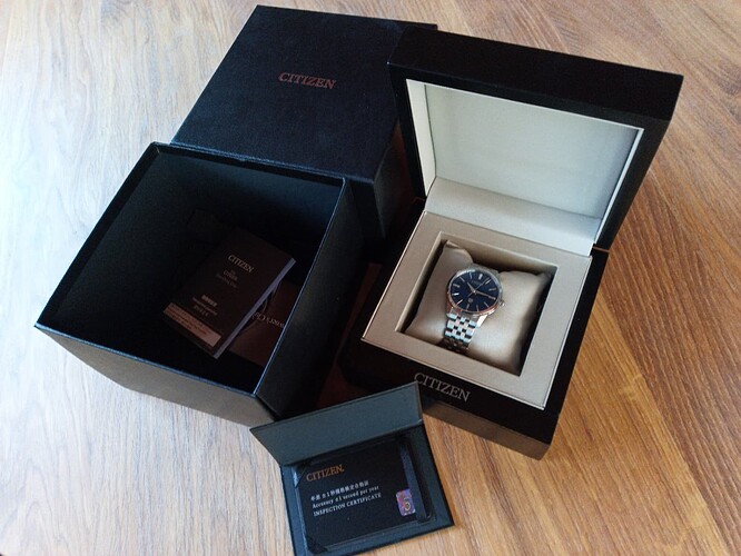 citizen AQ6100-56L