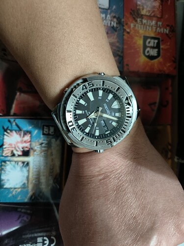 17672008279966538877796612001963