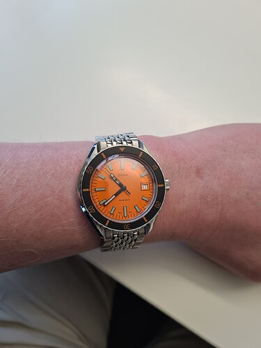 17713211678052991760144456127561