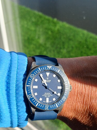 17747743883876846235586112221386