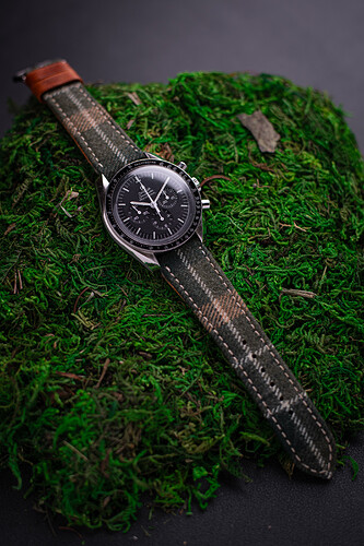 20211029 Autumnwatchweek Diaboliq -2