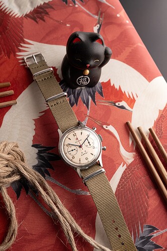 20250327 Seagull 1963-5