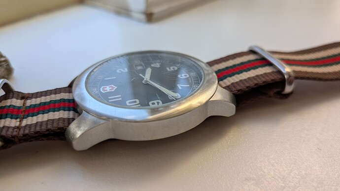 PXL_20260117_144045514.MACRO_FOCUS