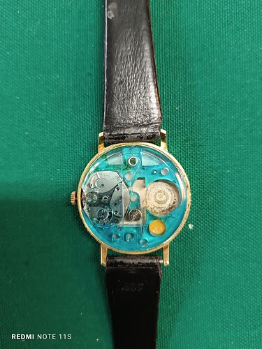 17708142400907916262889272400724