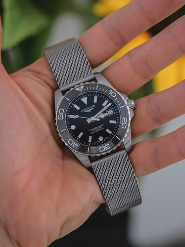DSC F1923