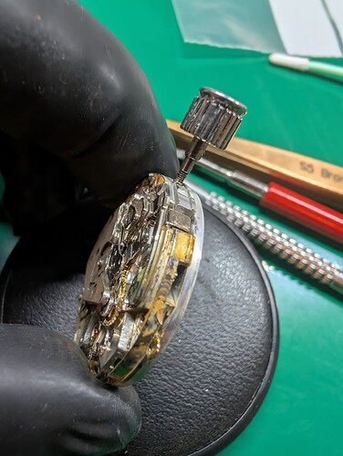 PXL_20251110_210124839